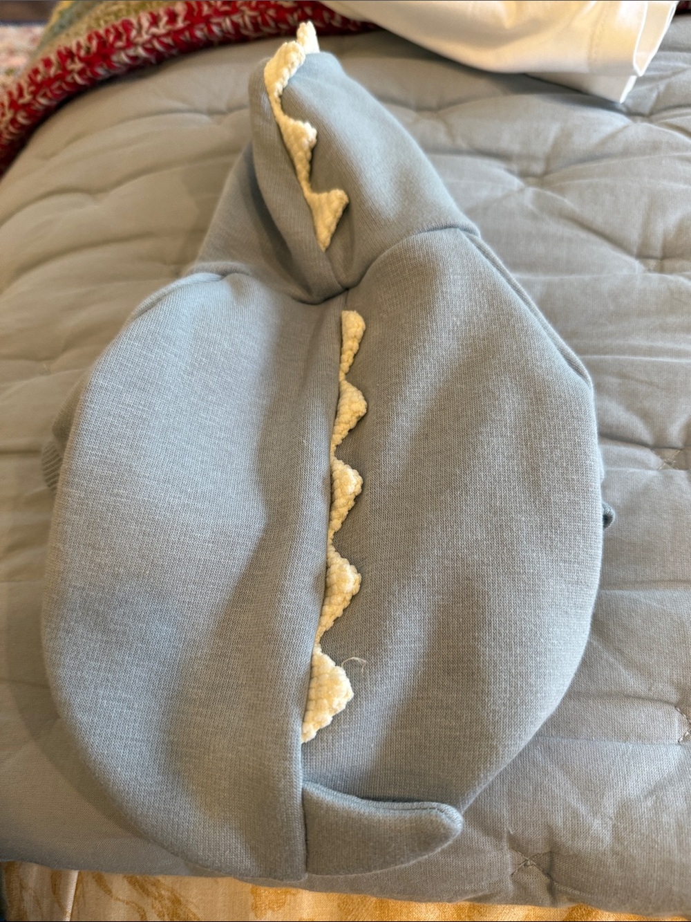 Dog Dinosaur Hoodie with Cream Spike Trim